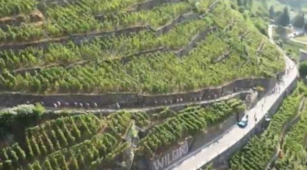 Camminata alle Foppe 2013 - Video Ufficiale