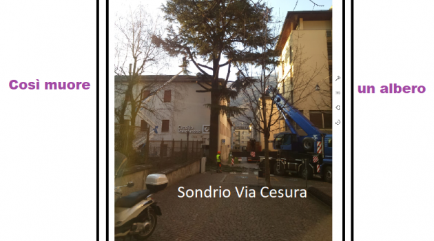 Da un lettore presente in zona