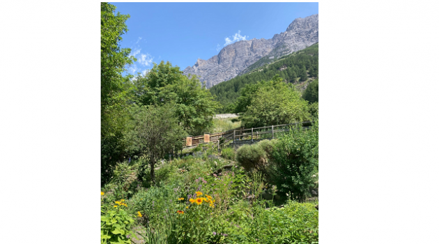 Giardino botanico alpino “Rezia” di Bormio