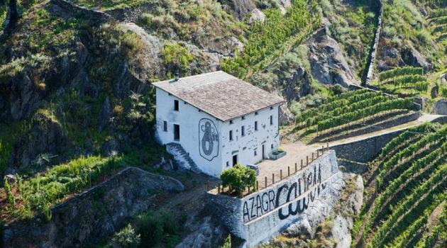 Vigneti in zona Caven