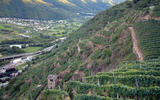 Media Valtellina Che grandine e che danni!